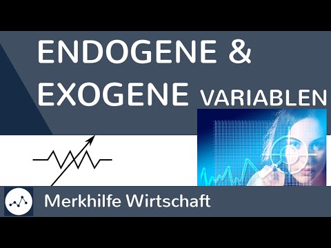 Endogene und exogene Variablen einfach erklärt - Was ist der Unterschied? & Beispiele