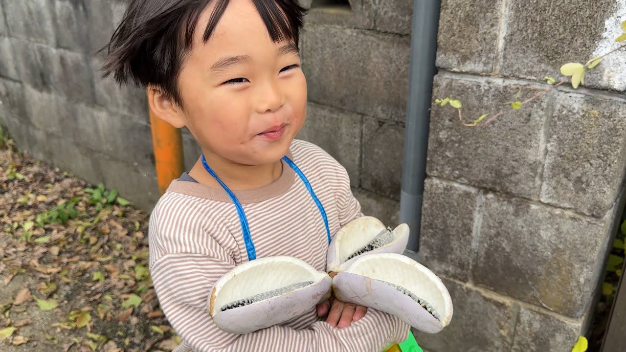 早朝、4歳息子と0歳息子と散歩した