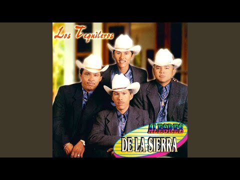 Paloma Piquito De Oro - Los Alegres de la Sierra