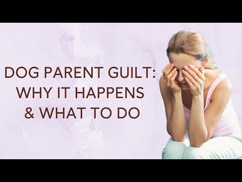 Dog Mom (& Dad) Guilt: Why It Happens & What To Do