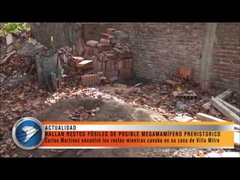 HALLAN RESTOS FÓSILES DE POSIBLE MEGAMAMÍFERO PREHISTORICO