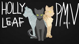 Hollyleaf PMV: OSHAKASHAMA