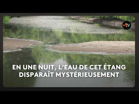 Cet étang dans les Côtes-d'Armor s'est vidé en une nuit