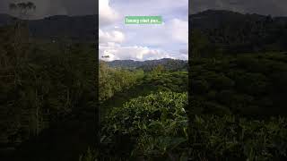 Download lagu Tenang....ribut jiwa..... mp3 Download lagu Tenang....ribut jiwa..... mp3