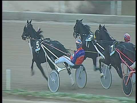 Trotto 01/12/2017 - 4ª corsa