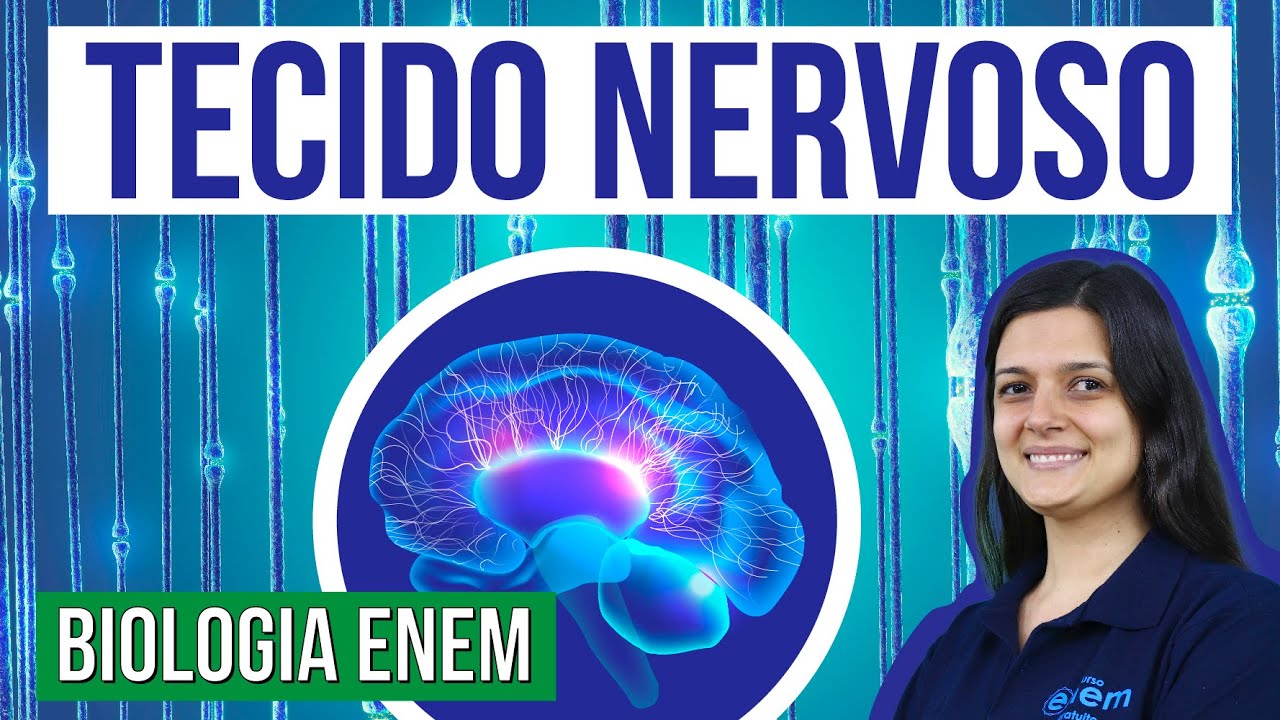 OS NEURÔNIOS E O TECIDO NERVOSO: Características e funções nos humanos. Claudia Aguiar. Curso Enem
