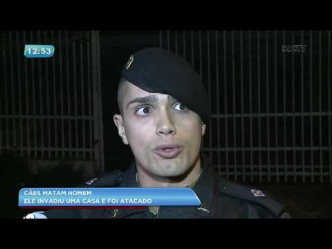 Homem é morto por cães após invadir casa em Curitiba