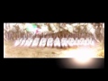 Debut Dvd