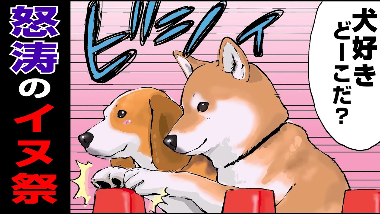 【総集編】夜眠る前に聞きたい！ユーモアが過ぎる柴犬の名言集【世界の終わりに柴犬と】