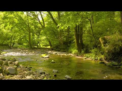 せせらぎの声でわかるように