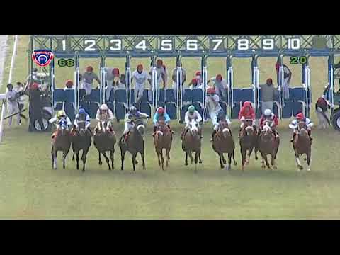 RM6 R8 | Romanus | R.Joorawon