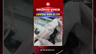 রাজধানীর জুরাইনে ককটেলসহ যুবককে গ্রেফতার করল র‍্যাব | Daily Sakalbela