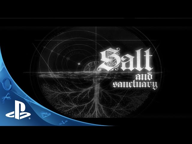 Salt and sanctuary vita