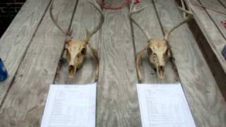 preview picture of video 'Aging and Scoring 2nd Creek Deer'