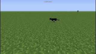preview picture of video 'Minecraft: BLACK CAT'