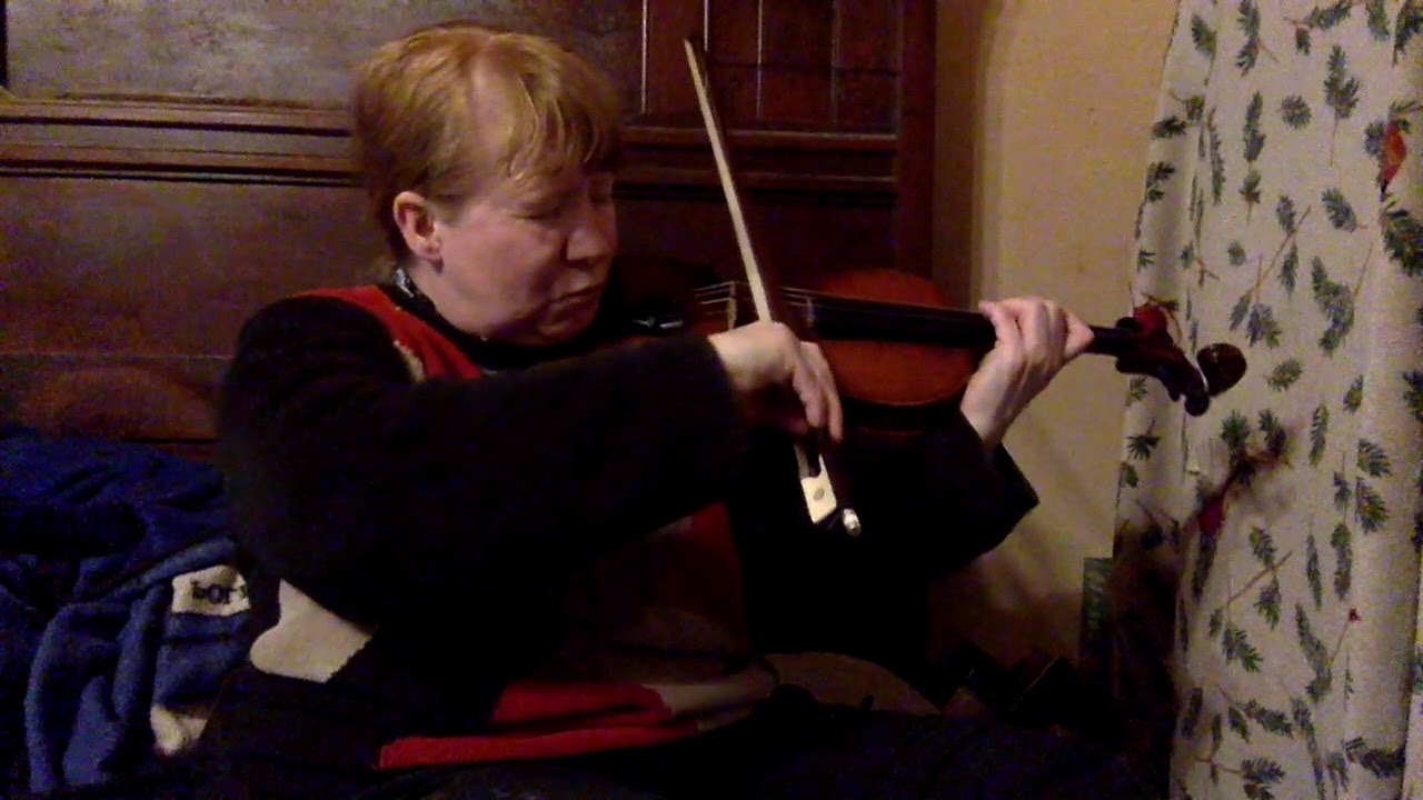 Promotional video thumbnail 1 for Moira Levant, Violinist and Fiddler