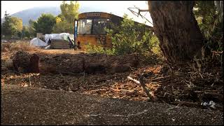 Thirst  Jonathan Jackson + Enation