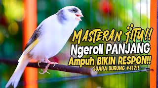 Download lagu SUARA BURUNG |417| Kenari GACOR PANJANG INI Cocok untuk Masteran KENARI PAUD dan Kenari Macet BUNYI mp3