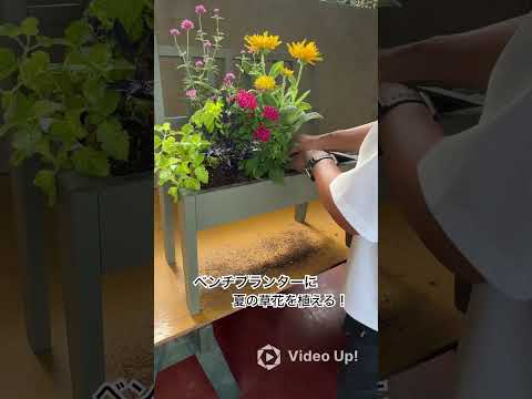 花の楽園を作るための 20 の DIY アイデアによる夏のプランター  庭園