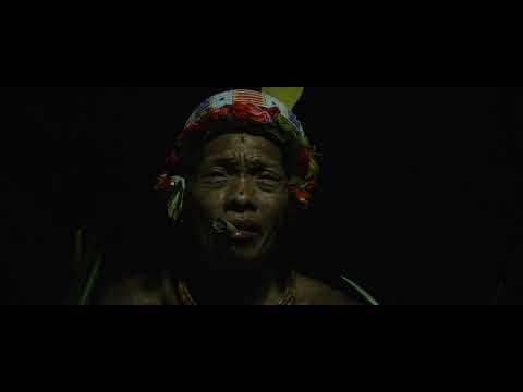 NEVER MEANT FOR STILLNESS - feat. Filipe Toledo