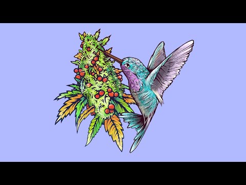 [FREE] Lil Baby x Latin Guitar Type Beat - "BOTTEGA" 💸 | Hard Type Beat 2021