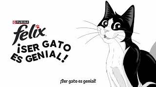 Purina FELIX® Purina anuncio