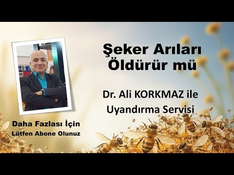 Şeker Arıyı Öldürür mü