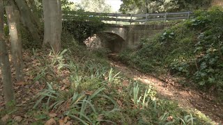 VOTV - L'ACA subvenciona la restauració de l'entorn natural de les Franqueses