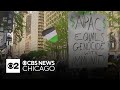 68 arrested after police clear pro-Palestinian protest outside Art Institute of Chicago