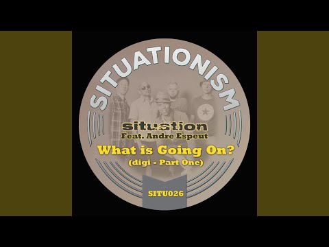 What Is Going On? (feat. Andre Espeut) (Situation Dub)