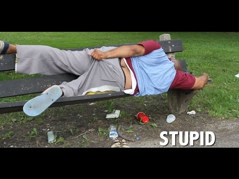 Hollywood Hendon video