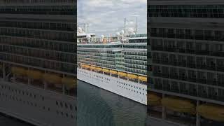 The Biggest Ship in the Fleet! #cruiseship #royalcaribbean #cruiselife #nassaubahamas