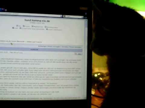 Humpel jagt den Mauscursor