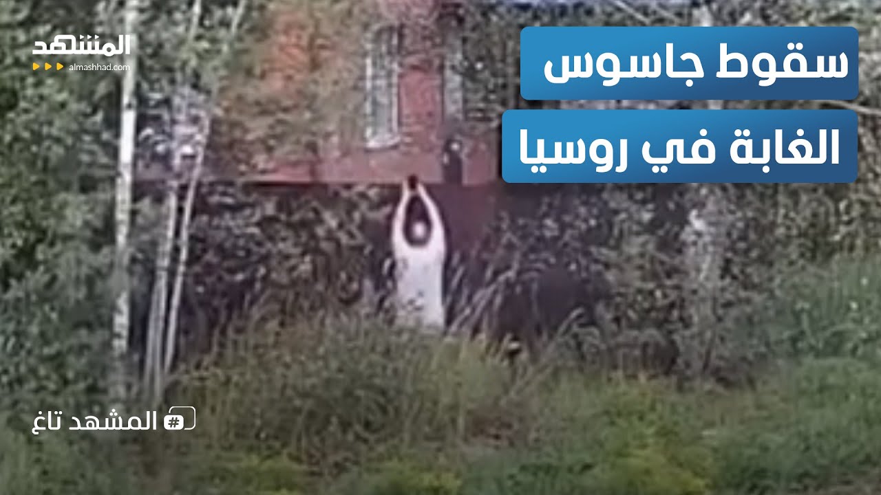 جاسوس الغابة.. لحظة سقوط أخطر عملاء أوكرانيا في قلب روسيا – المشهد تاغ