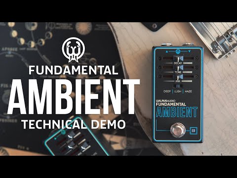 WALRUS AUDIO [Autumn SUPER SALE] Fundamental Ambient WAL-FUN/AMB (Walrus Audio) Reverb image 5