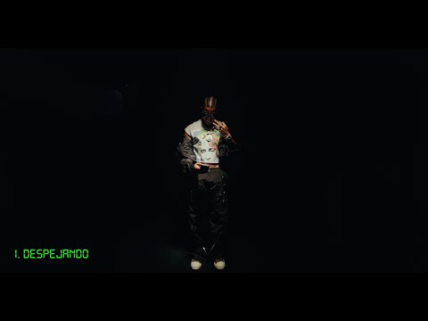 DONATY x LEO RD x BRYANT LR - DESPEJANDO (VISUALIZER) (TY x 3)