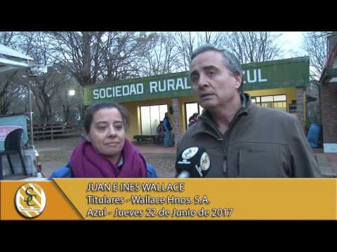 22-06-17 Nota Juan e Inés Wallace - Wallace Hnos. S.A. - Azul