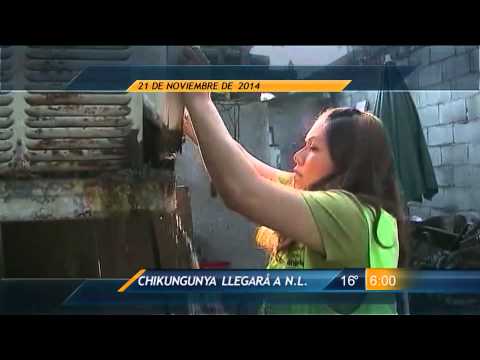 Titulares de Las Noticias Viernes 21 de Noviembre 2014