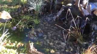 preview picture of video 'York PA Disappearing Waterfall and Mushroom Fountain'