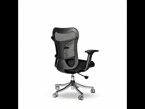 FT- 095 Flexi Office Chair