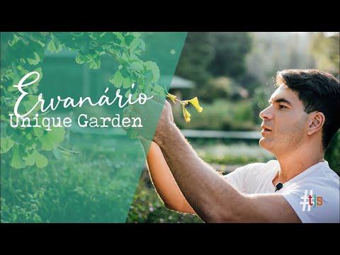 TOUR PELO ERVANÁRIO DO HOTEL UNIQUE GARDEN COM DR LUCIANO BRUNO