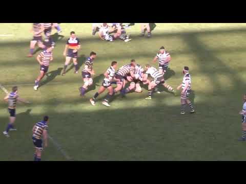 Boyd Killingworth 2019 Highlights