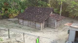 Download lagu Life in the village mp3