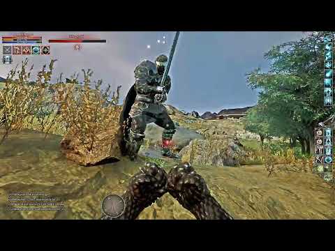 Mortal Online 2 Mage - Trick