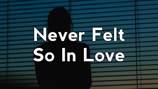 David Jin - Never Felt So In Love (Lyrics)