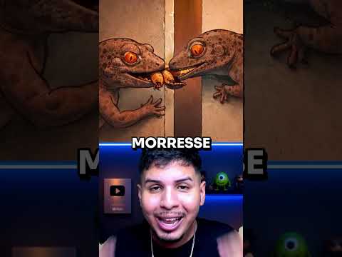 A HISTÓRIA DE AMOR DAS LAGARTIXAS!