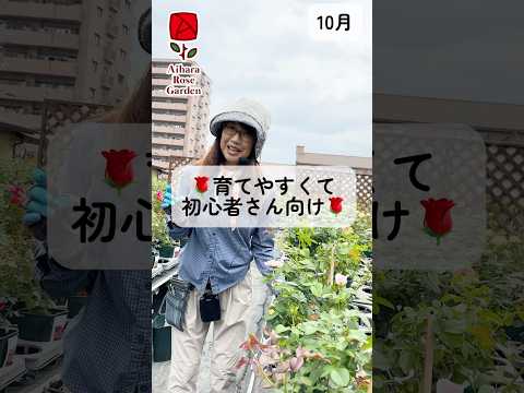 何よりも、これらの無料アプリは高価である可能性があります