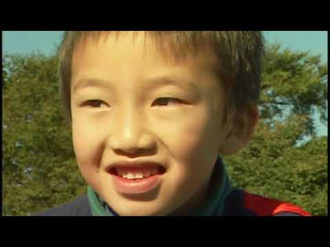 Nan Li Wan video