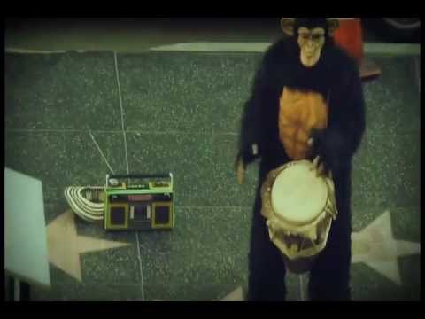 El Makako ( Palenke Soultribe ) Video Teaser