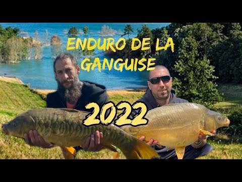 Enduro de la ganguise 2022 #carpe #rushbaits #pêche #bigcarp